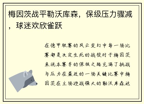 梅因茨战平勒沃库森，保级压力骤减，球迷欢欣雀跃